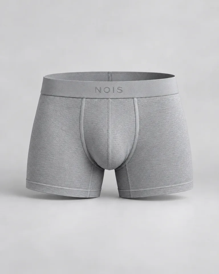 NOIS Curtis Grey Boxer Brief concept product image